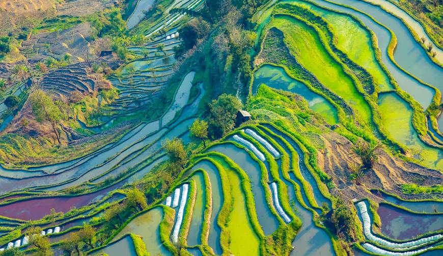 宝妈必备神器：临安市产品视频拍摄轻松育儿好帮手