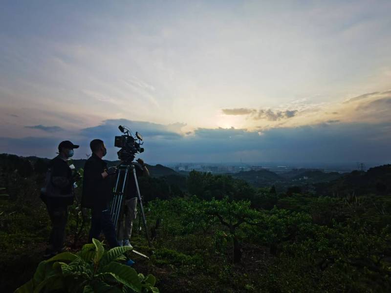 聚焦临安市产品宣传视频拍摄公司，用专业实力铸就品牌传播传奇